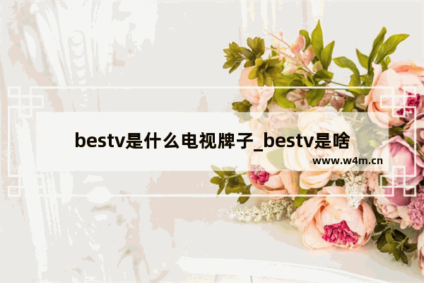 bestv是什么电视牌子_bestv是啥牌子的电视