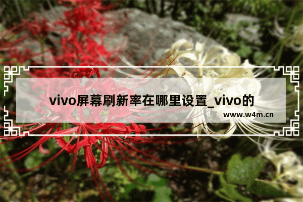 vivo屏幕刷新率在哪里设置_vivo的屏幕刷新率怎么调