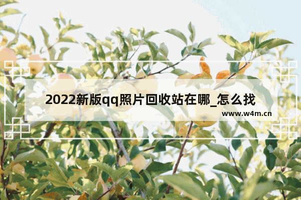 2022新版qq照片回收站在哪_怎么找