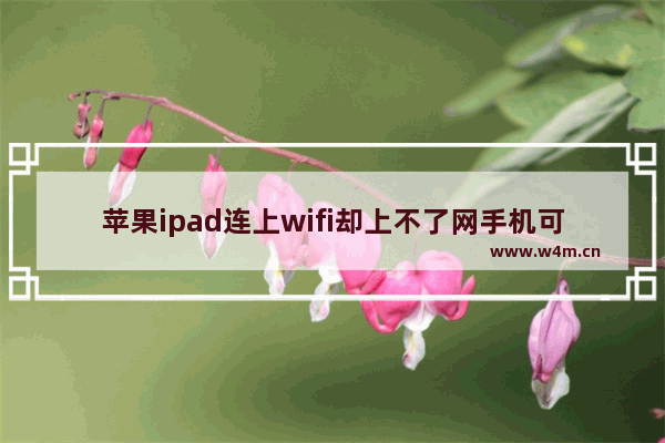 苹果ipad连上wifi却上不了网手机可以_手机wifi正常苹果ipad不能上网