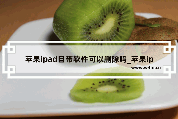 苹果ipad自带软件可以删除吗_苹果ipad自带软件怎么删除