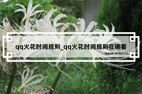 qq火花时间规则_qq火花时间规则在哪看