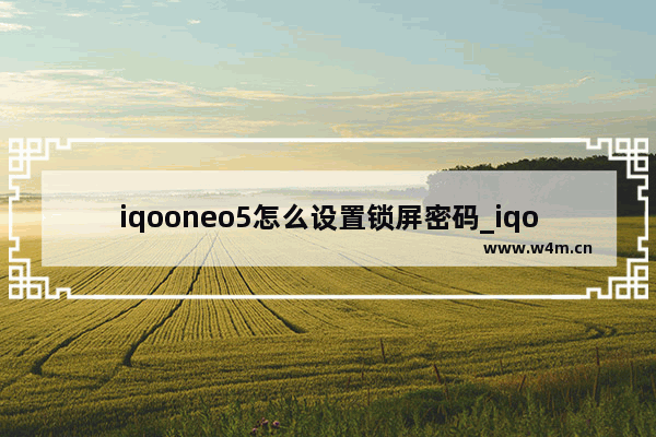 iqooneo5怎么设置锁屏密码_iqooneo5锁屏密码在哪