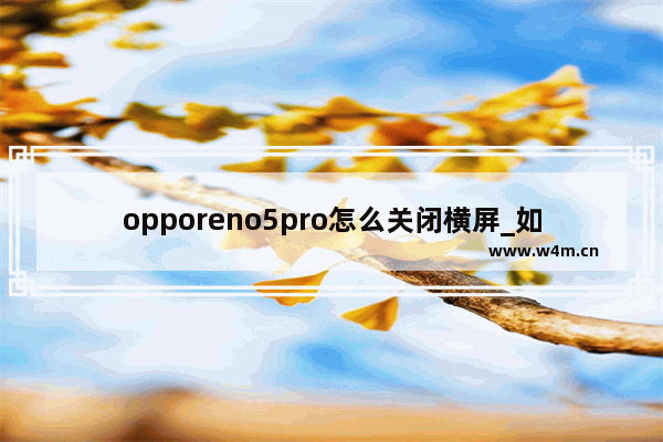 opporeno5pro怎么关闭横屏_如何关闭横屏