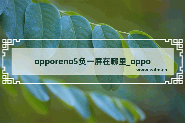 opporeno5负一屏在哪里_opporeno负一屏怎么打开