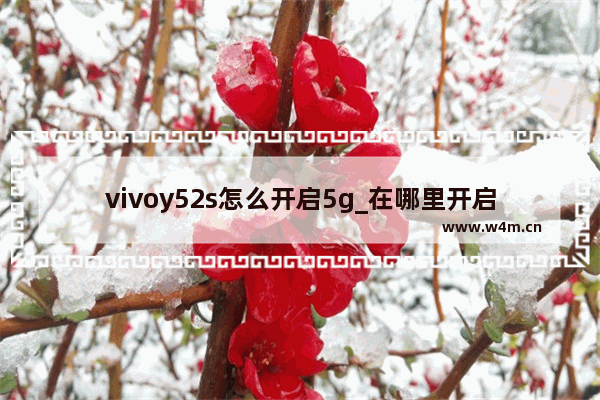 vivoy52s怎么开启5g_在哪里开启5g