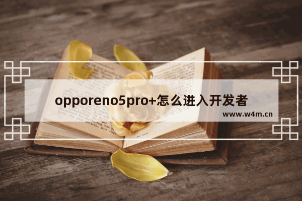 opporeno5pro+怎么进入开发者模式_如何打开开发者