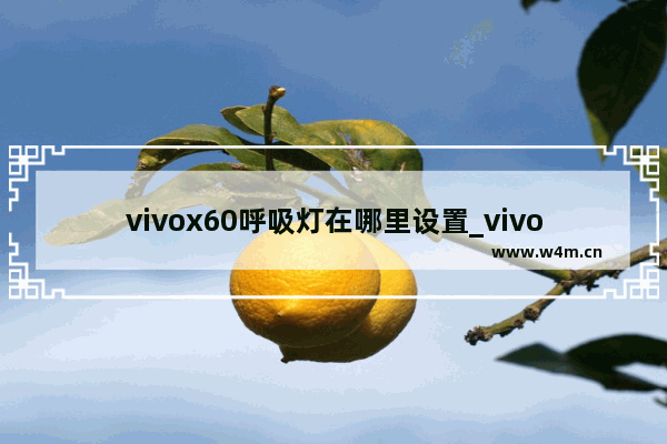 vivox60呼吸灯在哪里设置_vivox60怎么设置呼吸灯