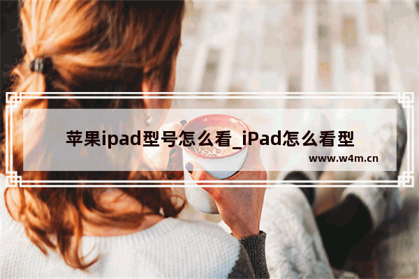 苹果ipad型号怎么看_iPad怎么看型号