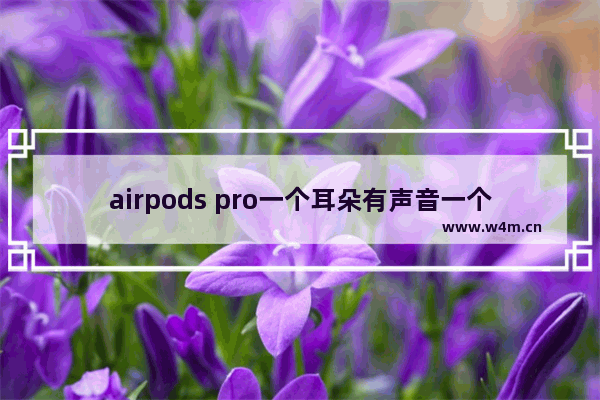 airpods pro一个耳朵有声音一个耳朵没声音_一侧的airpods pro没有声音怎么办