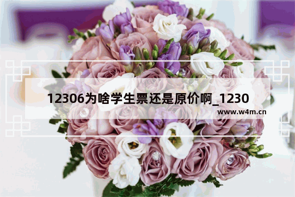 12306为啥学生票还是原价啊_12306为什么学生票还是原价