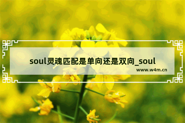 soul灵魂匹配是单向还是双向_soul匹配是不是双向的