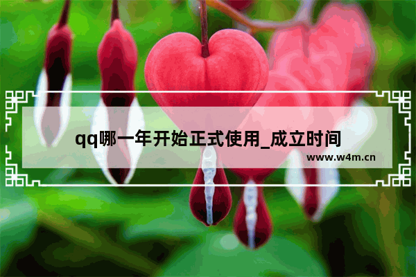 qq哪一年开始正式使用_成立时间