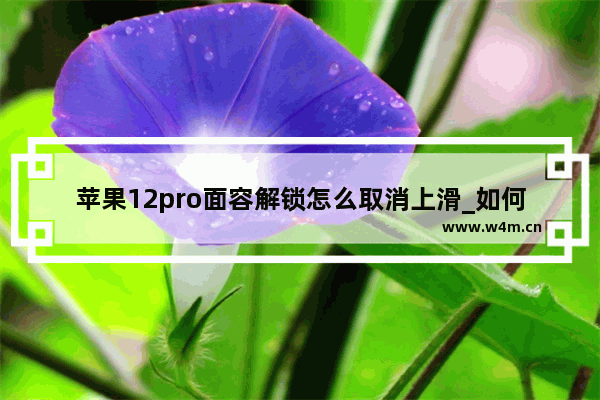 苹果12pro面容解锁怎么取消上滑_如何取消上滑