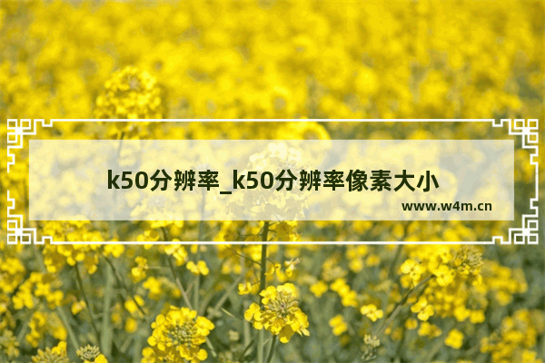 k50分辨率_k50分辨率像素大小