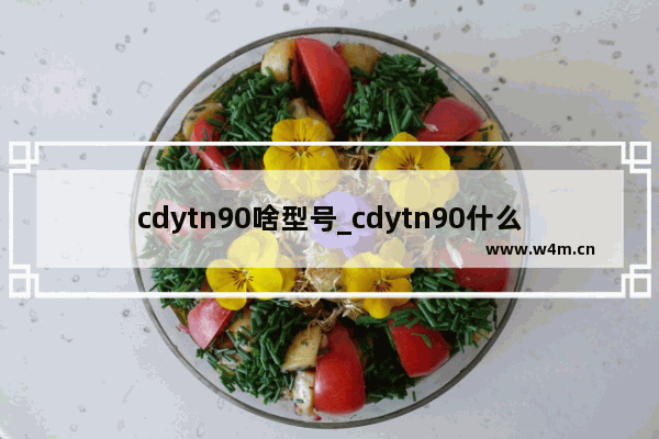 cdytn90啥型号_cdytn90什么手机型号