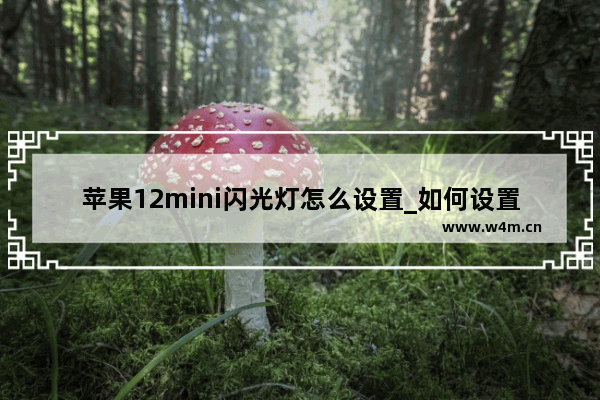 苹果12mini闪光灯怎么设置_如何设置