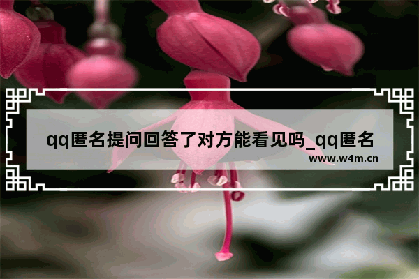 qq匿名提问回答了对方能看见吗_qq匿名提问回答别人能看见吗