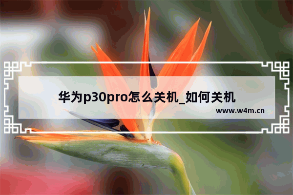 华为p30pro怎么关机_如何关机