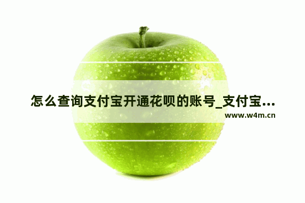 怎么查询支付宝开通花呗的账号_支付宝开通花呗的账号在哪看