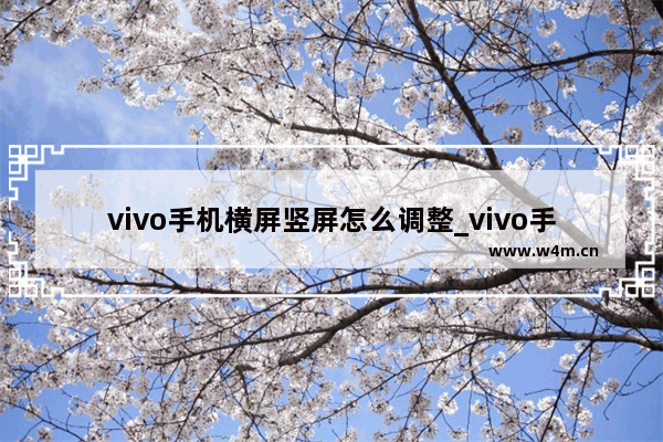 vivo手机横屏竖屏怎么调整_vivo手机横屏竖屏如何调整