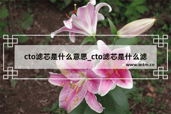 cto滤芯是什么意思_cto滤芯是什么滤芯