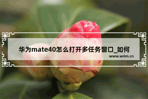 华为mate40怎么打开多任务窗口_如何打开多任务窗口