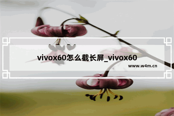 vivox60怎么截长屏_vivox60如何截长屏