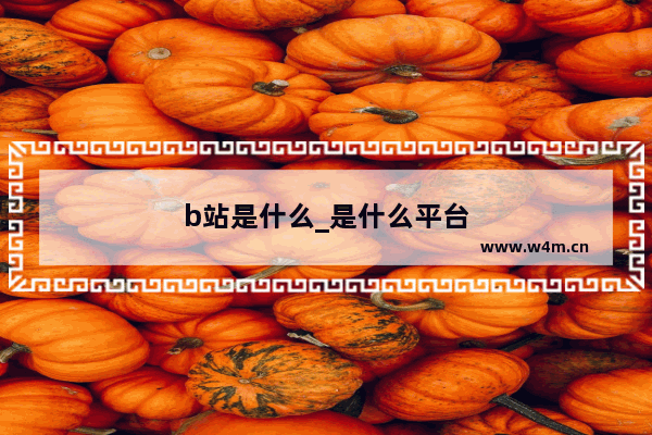 b站是什么_是什么平台