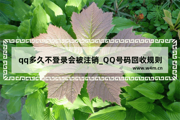 qq多久不登录会被注销_QQ号码回收规则