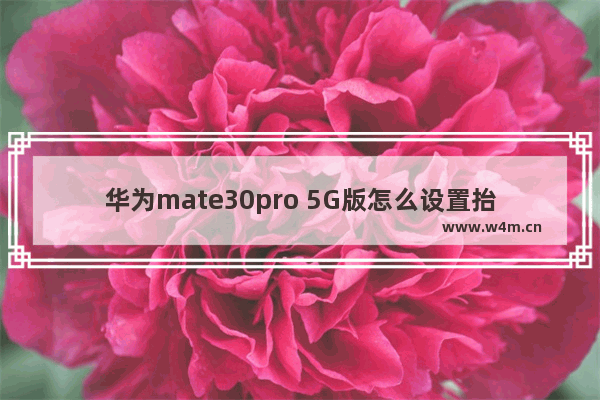 华为mate30pro 5G版怎么设置抬起亮屏_在哪开启抬起亮屏