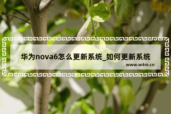 华为nova6怎么更新系统_如何更新系统