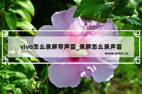 vivo怎么录屏带声音_录屏怎么录声音