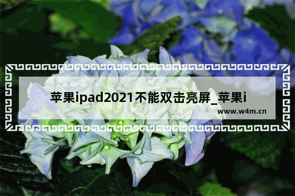 苹果ipad2021不能双击亮屏_苹果ipad2021如何设置双击亮屏