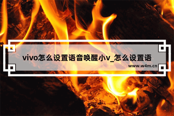 vivo怎么设置语音唤醒小v_怎么设置语音助手