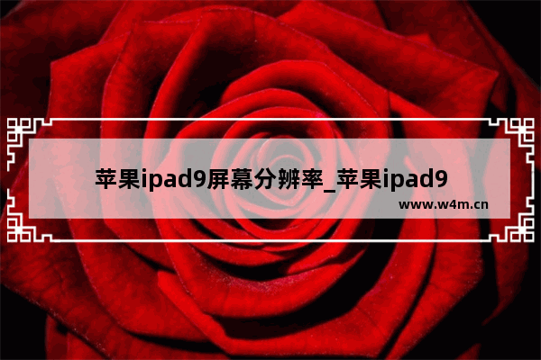 苹果ipad9屏幕分辨率_苹果ipad9分辨率是多少