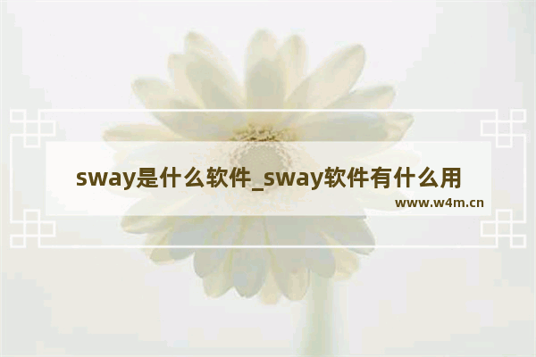 sway是什么软件_sway软件有什么用