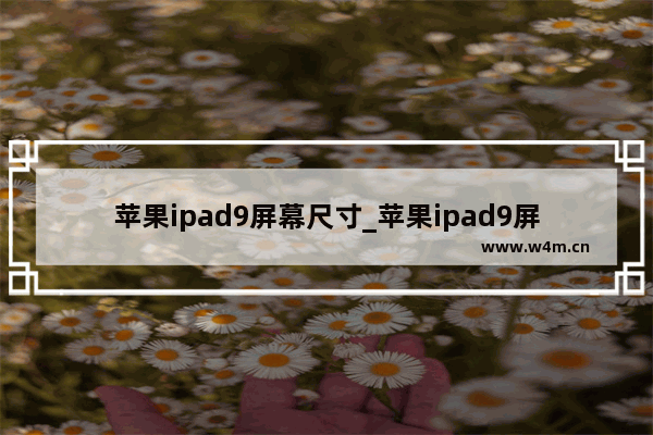 苹果ipad9屏幕尺寸_苹果ipad9屏幕尺寸是多少