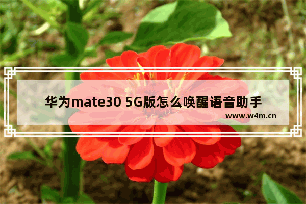 华为mate30 5G版怎么唤醒语音助手_如何唤醒小艺