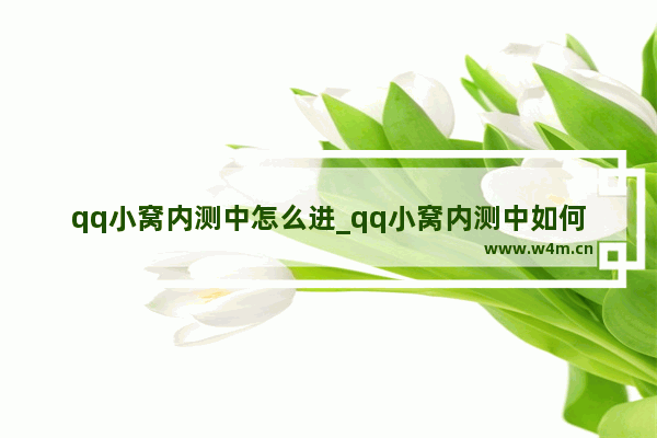 qq小窝内测中怎么进_qq小窝内测中如何进