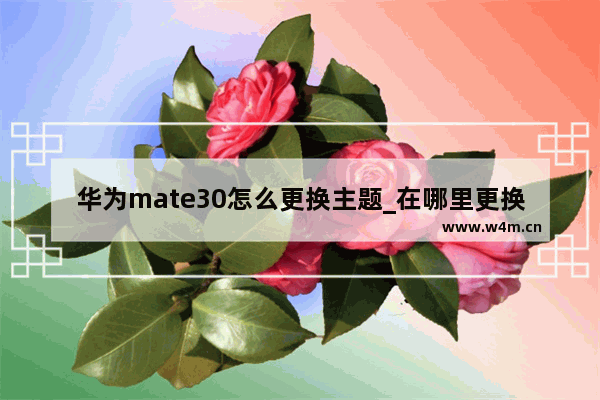 华为mate30怎么更换主题_在哪里更换主题