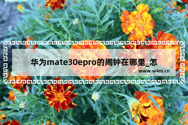 华为mate30epro的闹钟在哪里_怎么设置