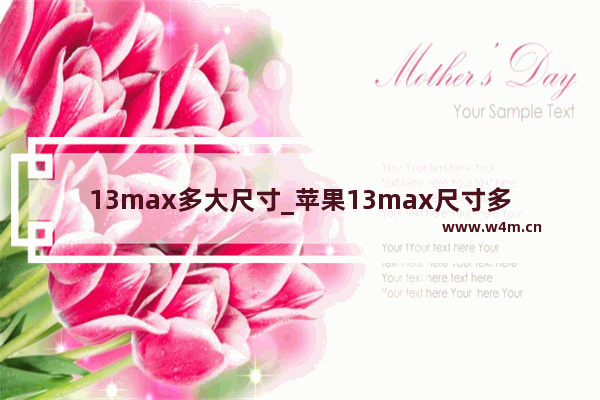 13max多大尺寸_苹果13max尺寸多大