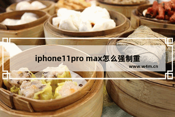 iphone11pro max怎么强制重启_苹果11promax怎么强制重启