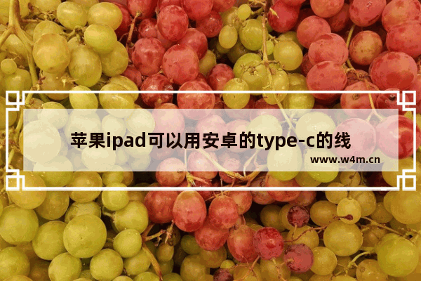 苹果ipad可以用安卓的type-c的线吗_苹果ipadpro能用安卓的type-c数据线么