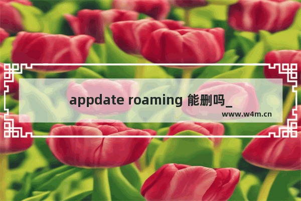 appdate roaming 能删吗_可以删除吗