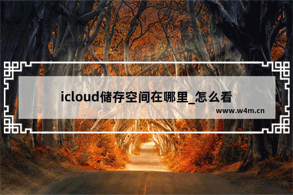 icloud储存空间在哪里_怎么看