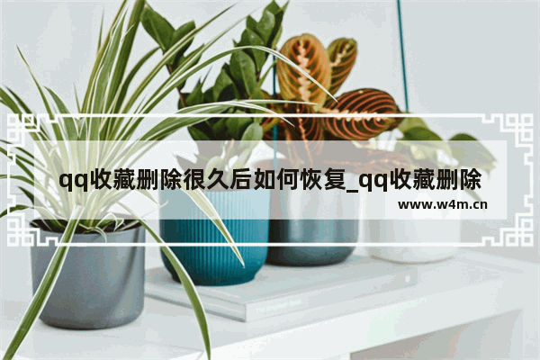 qq收藏删除很久后如何恢复_qq收藏删除很久后可以恢复吗