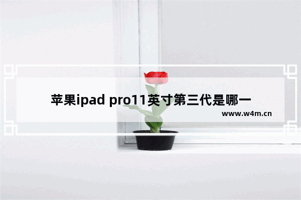 苹果ipad pro11英寸第三代是哪一年的_苹果ipad pro11英寸第三代是哪一年的款