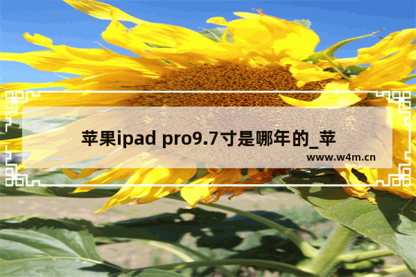 苹果ipad pro9.7寸是哪年的_苹果ipad pro9.7寸是哪一年的